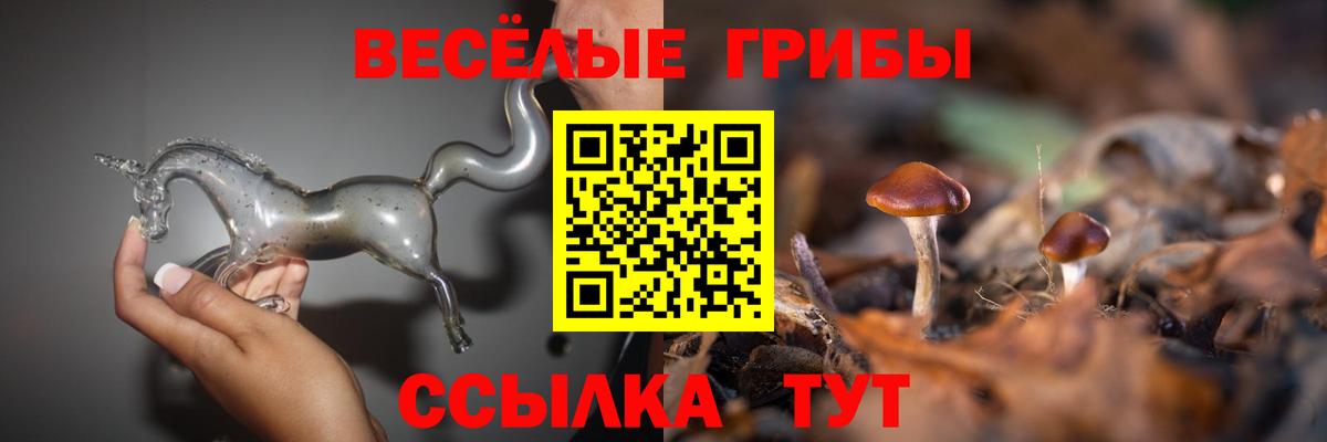 Псилоцибиновые грибы GOLDEN TEACHER  Псилоцибиновые грибы Psilocybine cubensis  наркошоп  Копейск  Вход с VPN 
